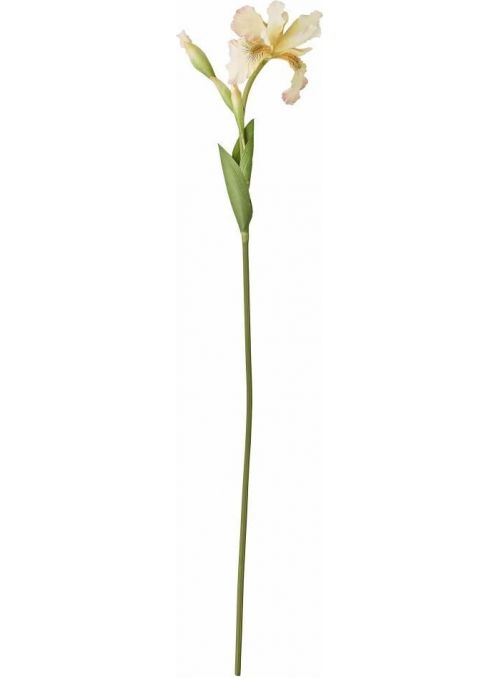 fleur