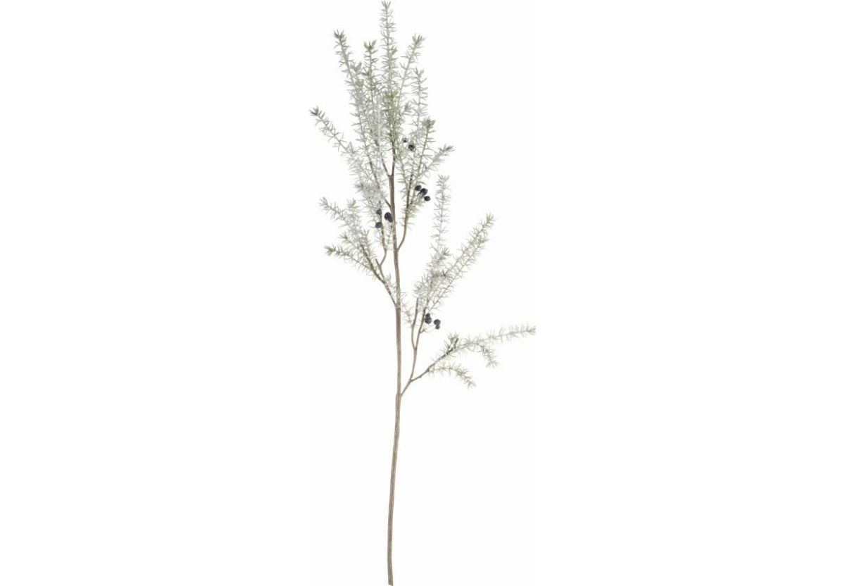 fleur