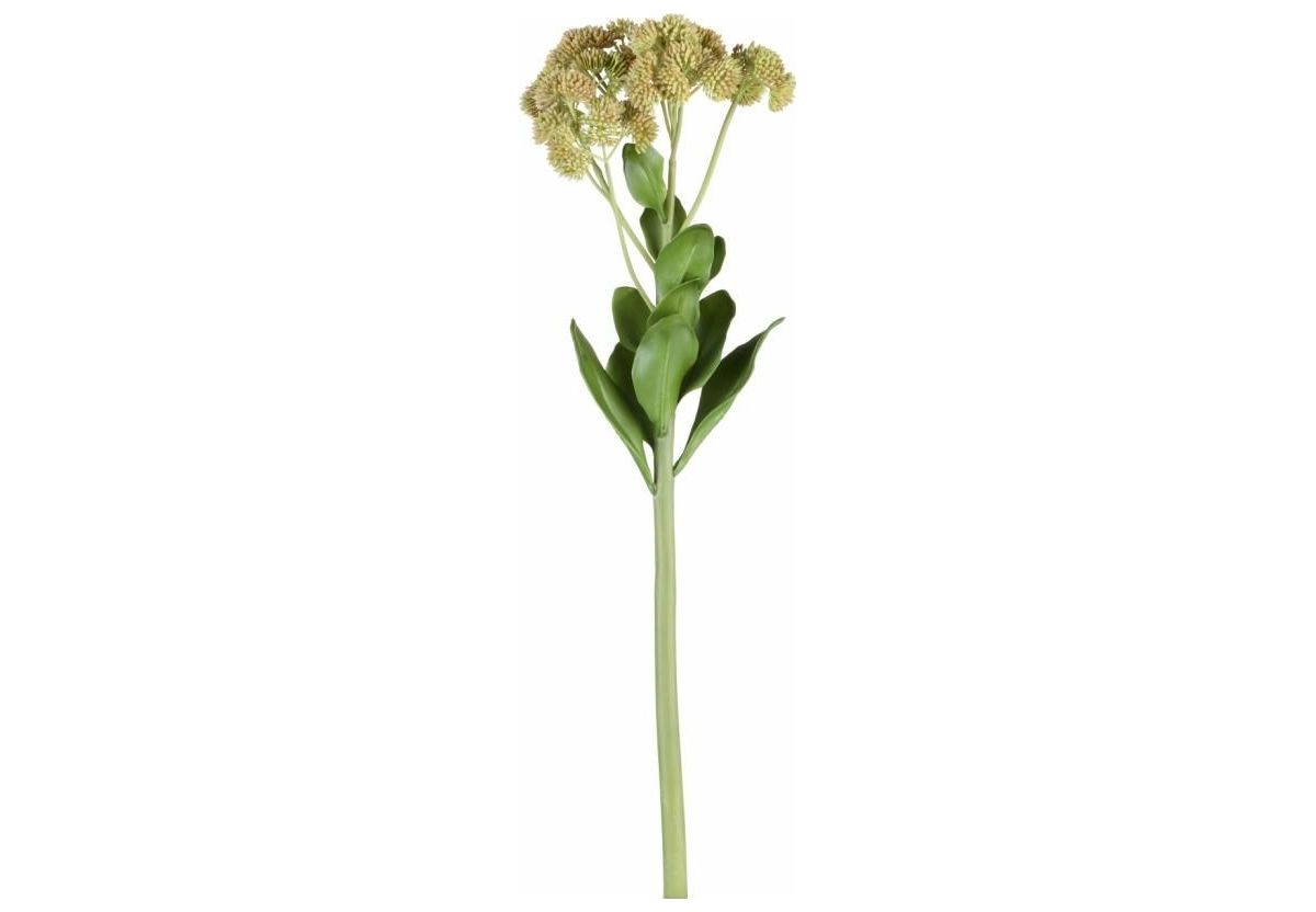 fleur