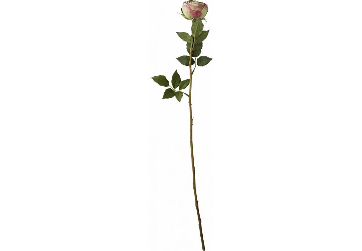 fleur