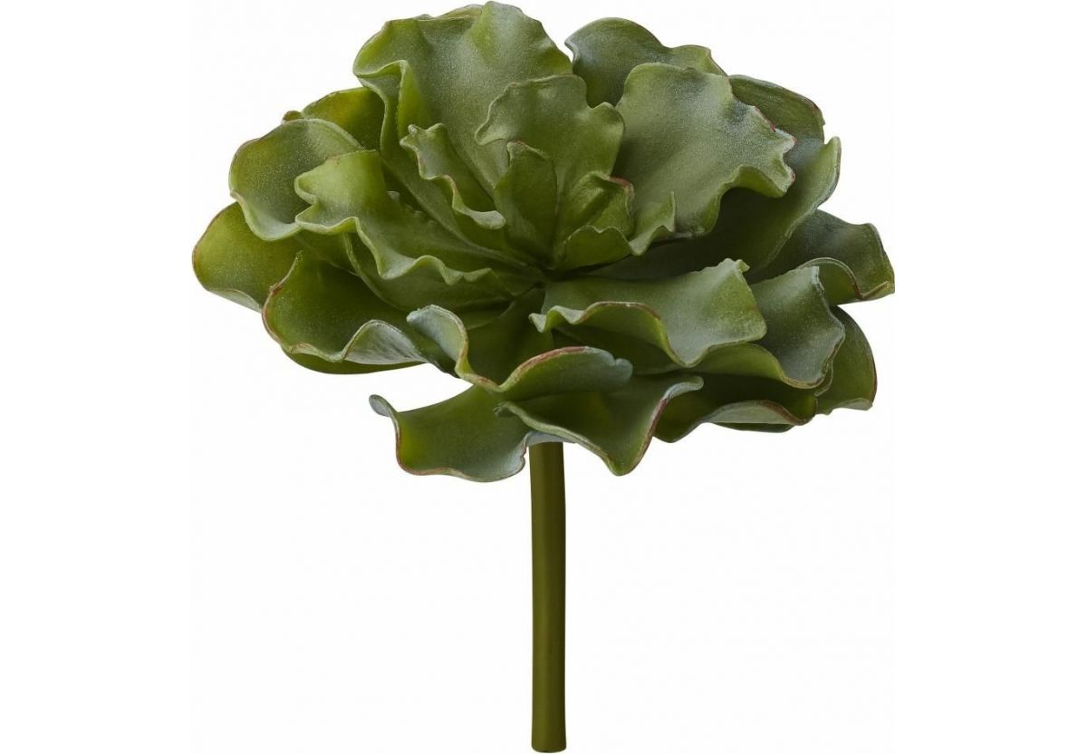 fleur