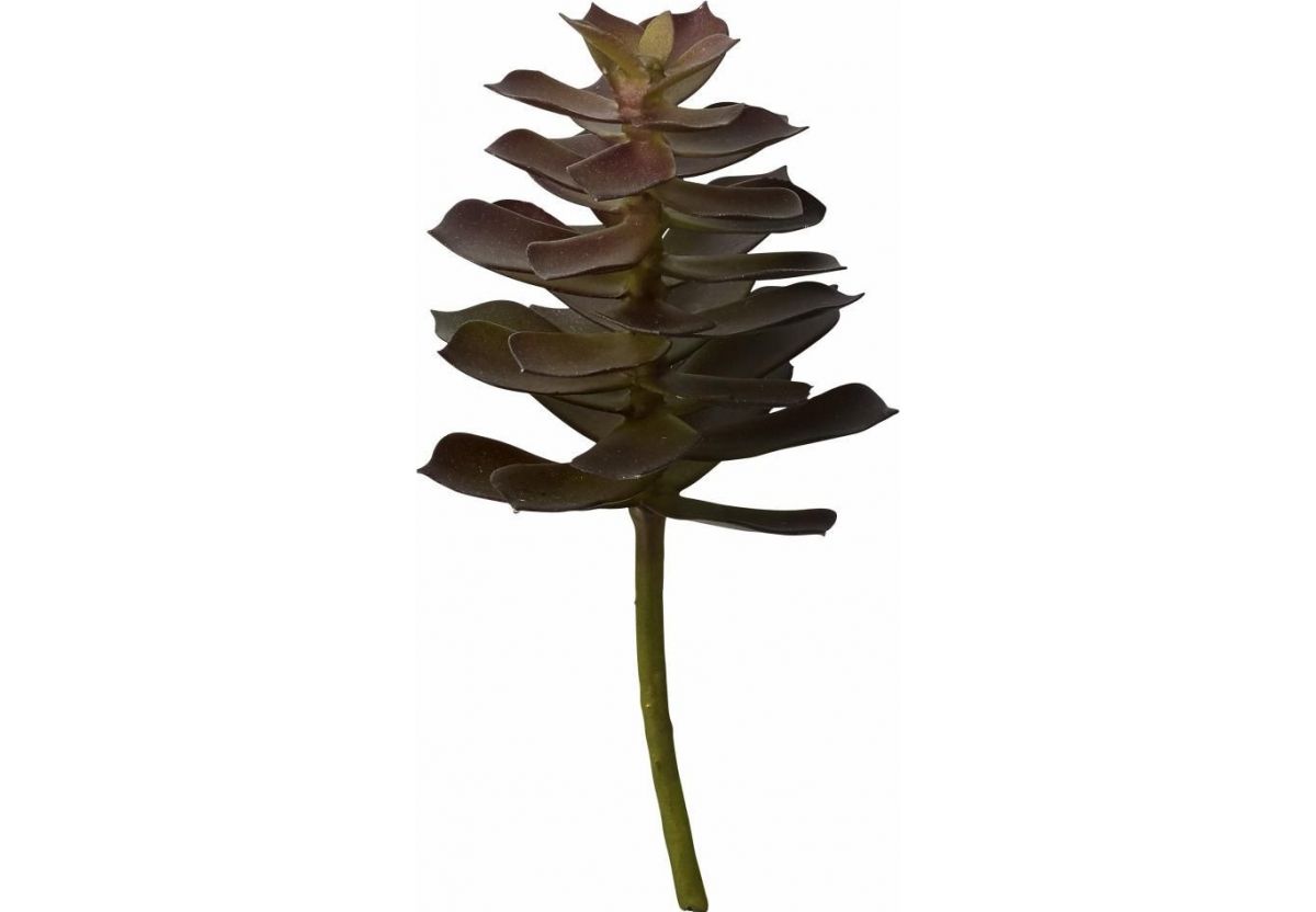 fleur