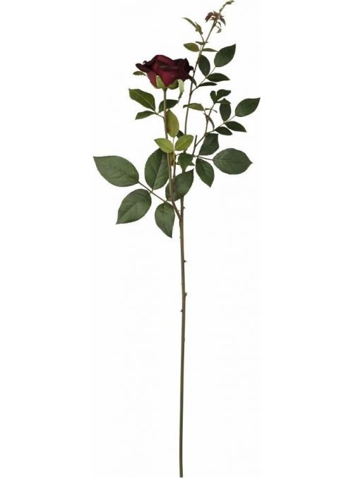 fleur
